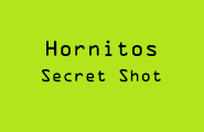 Hornitos 10 REV