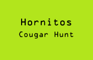 Hornitos 65 REV
